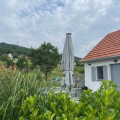 Panoramic tranquility on hill of vineyard