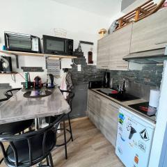 Studio Cabine au Centre des Angles avec Balcon, Casier à Skis, et Kitchenette Équipée - FR-1-593-86