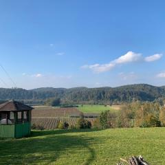 Garten mit einzigartigem Panoramablick - nähe Bodensee und Messe