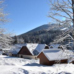 Chalet Anenské údolí by Interhome