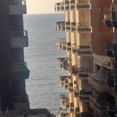 شقة كود 7-350 في شارع خالد ابن الوليد