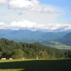 Appartment Gailtalblick