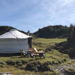 Alp Jurte Skihütte Feldis