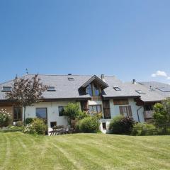 Vintage Mansion in Mercury France with Terrace