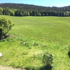 Natur Pur im Hochschwarzwald