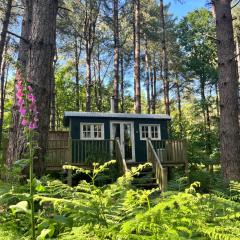 King Nutkin Shepherds Hut