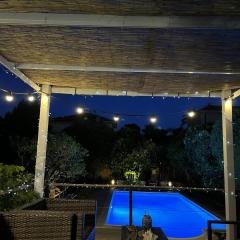 Cannes charming villa private pool garden 1,7 kms from sea and sand beach