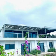 Luxury Villa set in Idyllic Cove, sunets, dolphins Nr Lefkada Villa Levanda