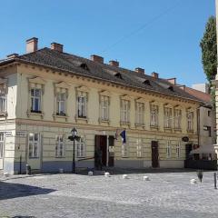 Stylish historic flat for 4 in heart of OldBuda