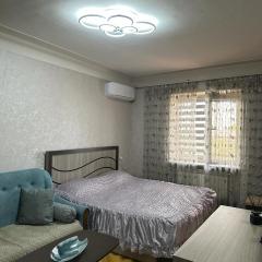 Yerevan nice apartment with balcony for rent
