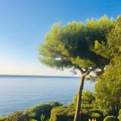 Cannes directly on the Sea
