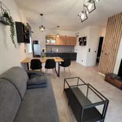 LUX Apartament