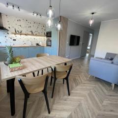 Apartament w Śródmieściu