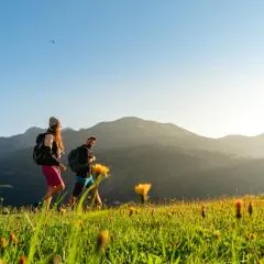 Alpenhotel Wanderniki