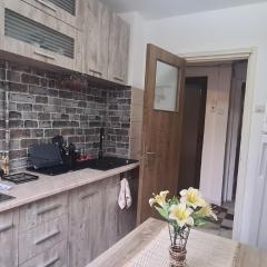 Bobocea Summer Apartment