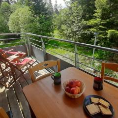 Charmant appartement au pied des pistes