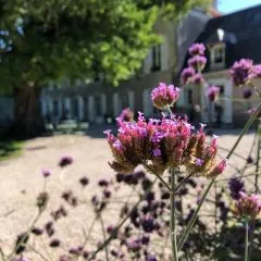 Domaine Saint-Hilaire