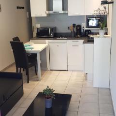 Charmant studio 2* rdc+ terrasse & parking privé