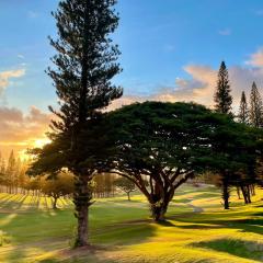 Kapalua Golf Villa 15T 78