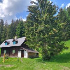 Almzeithütte am Seeberg