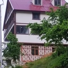 ÇAYKARA-NANAGA1883-Entire 1 Bedroom Flat with Balcony-Lake-Mountain View