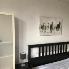 Budget room en-suite 8mins walk to Singleton Hospital, R3