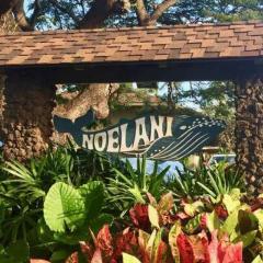 Noelani 305