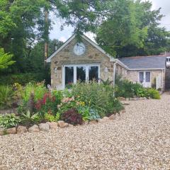 Tree Fern Barn