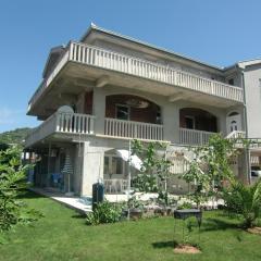 Apartment Villa Dobrijevic -Seljanovo