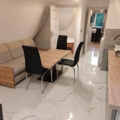 Apartament Sobczakówka 2