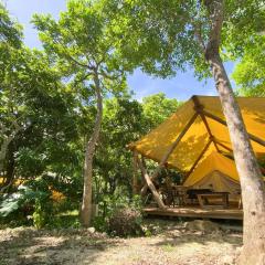 RAINBOW FOREST Permaculture filed - Vacation STAY 78984v