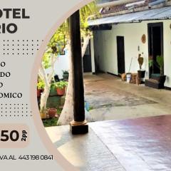 Hotel Ario