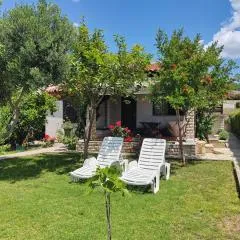 House Roko by the sea