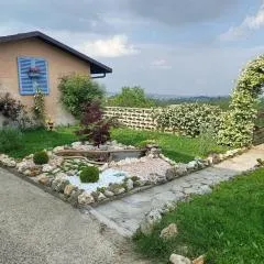 Vista Super