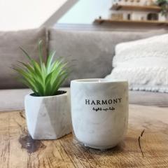 Harmony Apartment
