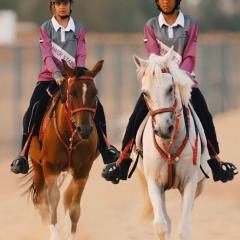 اسطبلات أساور للفروسية Asawer Equestrian Stables