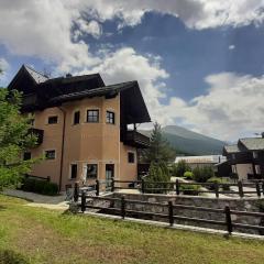 Chalet Rin da Pemont