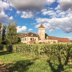 Historic mansion by the River Lot in C nevi res