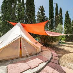 Olive Tent - In Our Garden