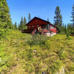 Beautiful Home In Sjusjen With 3 Bedrooms And Wifi