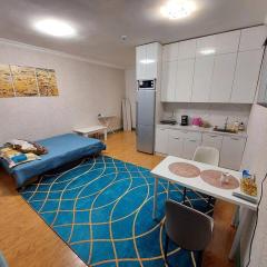 Comfortable studio apartment