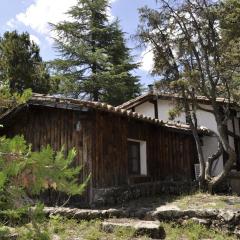 La cabaña del Burguillo