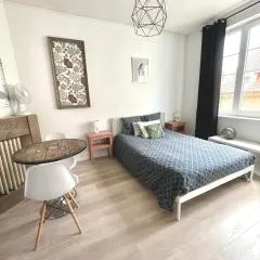 Élégant studio rénové