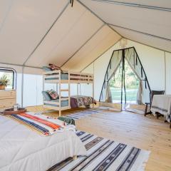 Starlit Nights during Natures Cozy Retreat