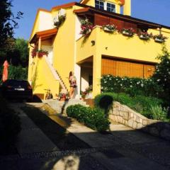 Apartman Nekic 3
