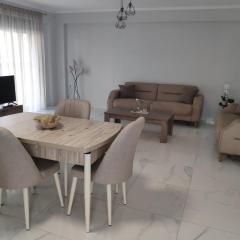 Family house