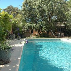 La Vigne et L'Olivier