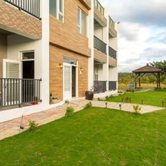 夏日微醺Summer Drinks