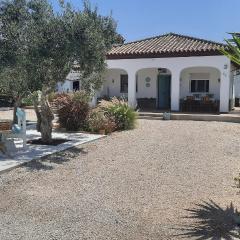 Villa Jaca azule