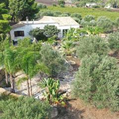 Casale Dell Ulivo - A cottage near the sea and mountains